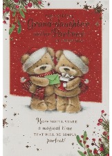 For A Special Grand-daughter And Her Partner At Christmas